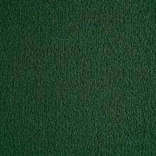 Ковролин Pietro Radici коллекция Oceania цвет зеленый